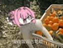 1750594105190.gif