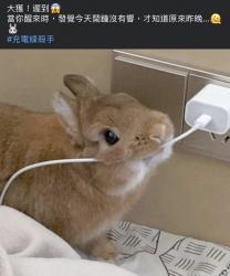 1750610639939.jpg
