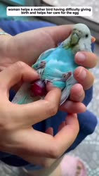 1750623031663.webm