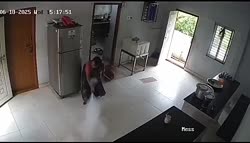 1750644441326.webm