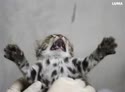 1750649235602.webm