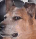 1750654778898.gif