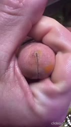 1750669447058.webm