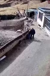 1750670094581.webm