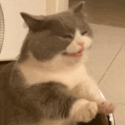1750672268973.gif