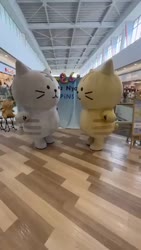 1750679842420.webm
