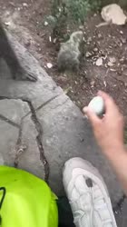 1750683070613.webm