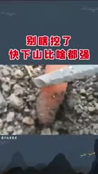 1750684386558.webm