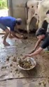1750704458092.webm