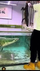 1750705988108.webm