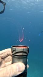 1750715270931.webm