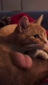 1750738201960.webm