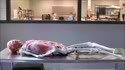 1750739559044.webm