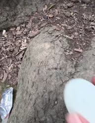 1750752772324.webm