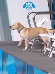 1750757079548.webm