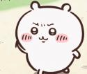 1750757226362.gif