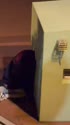 1750759154942.webm