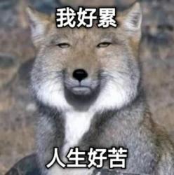 1750760589816.png