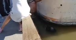 1750765184735.webm