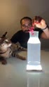 1750766117319.webm