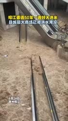 1750770140358.webm
