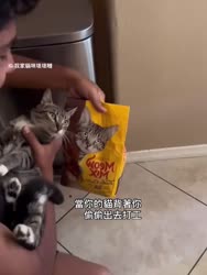1750772311710.webm