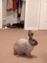 1750793386919.gif