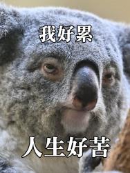 1750803051585.png
