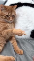 1750813677334.webm