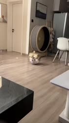 1750822448297.webm