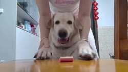 1750827207591.webm