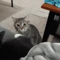 1750827510524.gif
