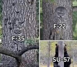 1750843339118.jpg