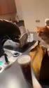 1750852446010.webm