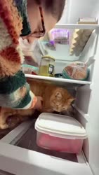 1750856543375.webm