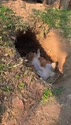 1750858353420.webm