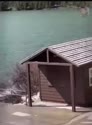 1750862837910.webm