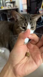 1750877881781.webm