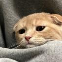 1750902541188.jpg