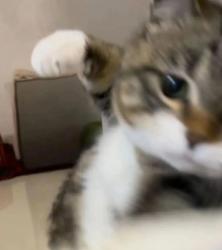 1750904830678.jpg