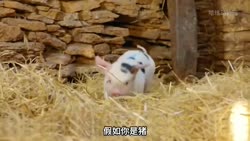 1750909418144.webm