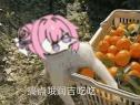 1750930247257.gif