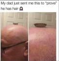 1750931852637.jpg