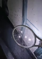 1750938231990.webm