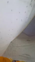 1750942115136.webm