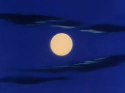 1750944661804.webm