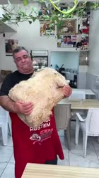1750945010424.webm