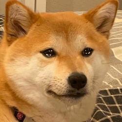 1750949405158.jpg