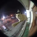 1750949598314.webm