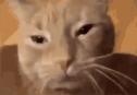 1750995148017.gif